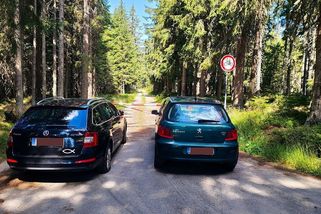 Šumavský masakr. Lesy jsou obsypané auty houbařů - Novinky